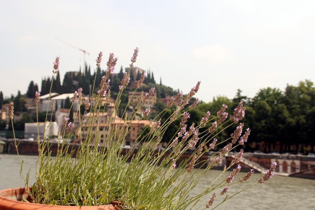 Sottoriva36 Bed & Breakfast Verona Eksteriør bilde